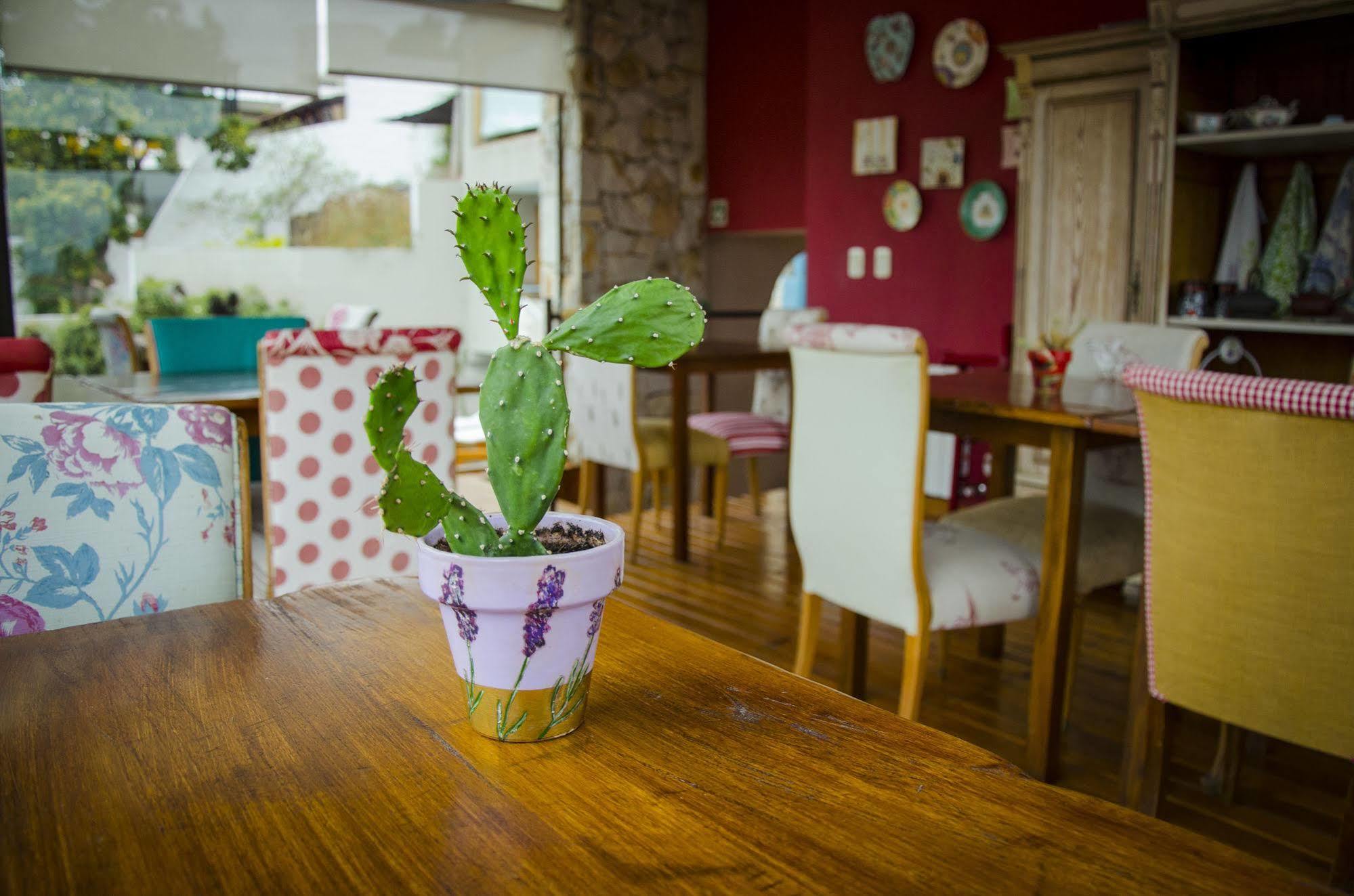 Kkala Boutique Hotel Salta Eksteriør billede